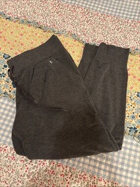 Danskin Now Charcoal Gray Women's Jogger Pants